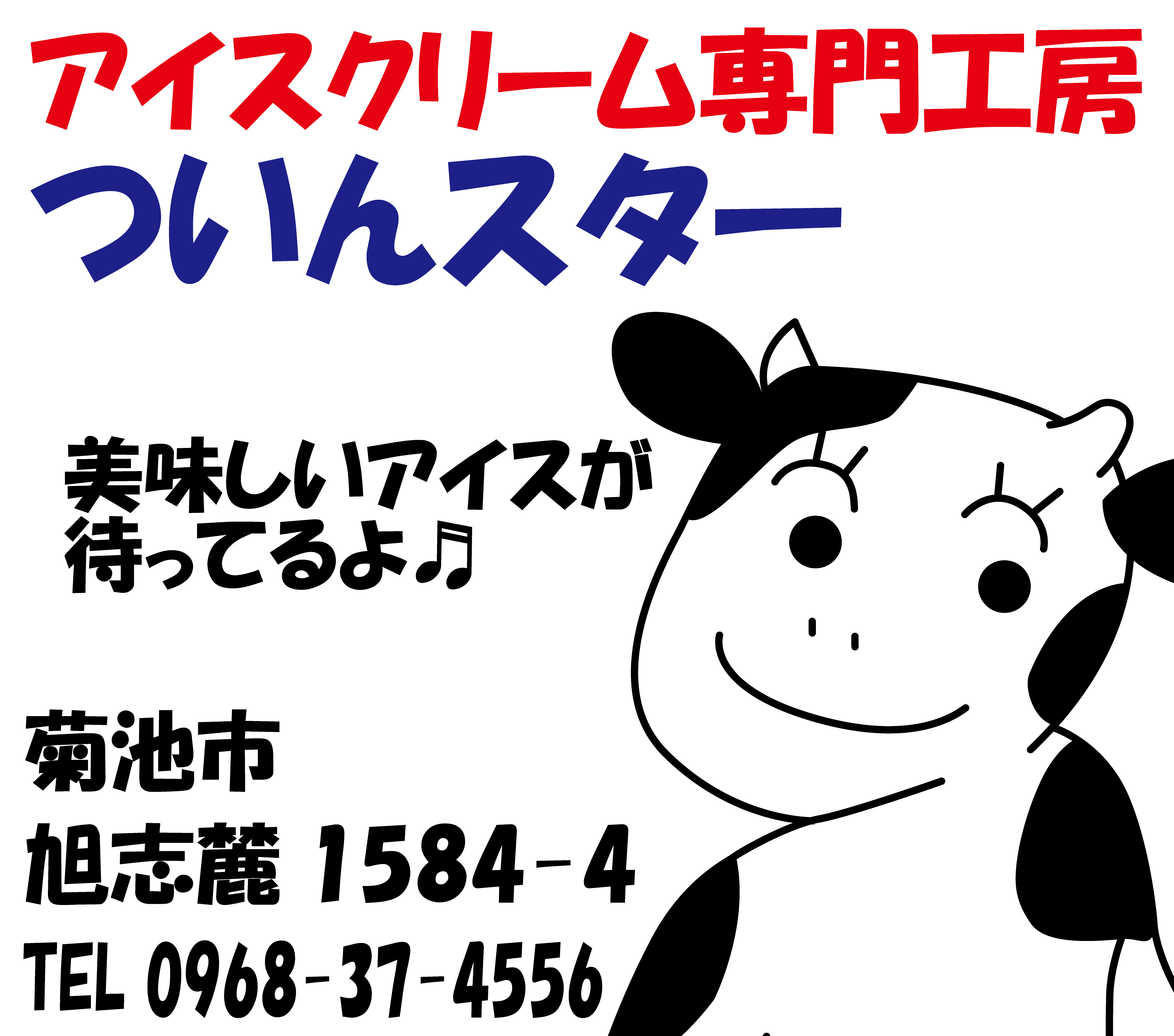 株式会社ついんスター
